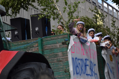 Bild_00233